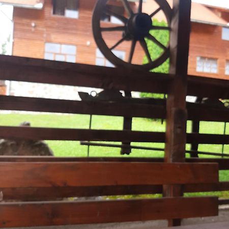 Pensiunea Codru Sălciua de Jos Extérieur photo