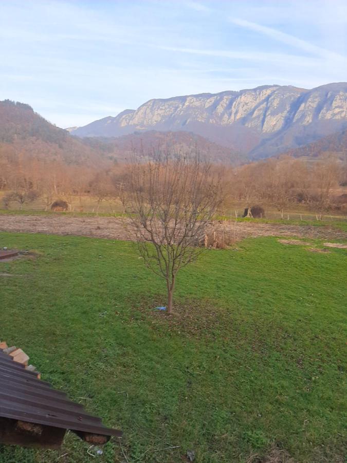 Pensiunea Codru Sălciua de Jos Extérieur photo