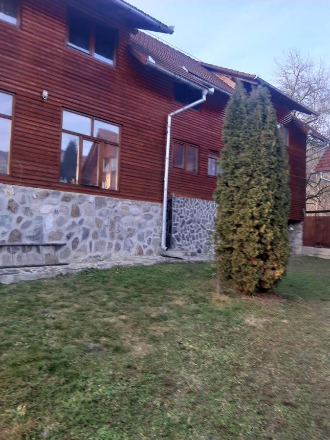 Pensiunea Codru Sălciua de Jos Extérieur photo