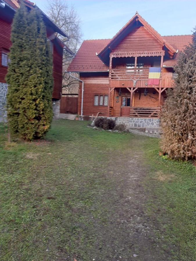 Pensiunea Codru Sălciua de Jos Extérieur photo