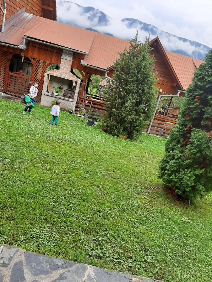 Pensiunea Codru Sălciua de Jos Extérieur photo