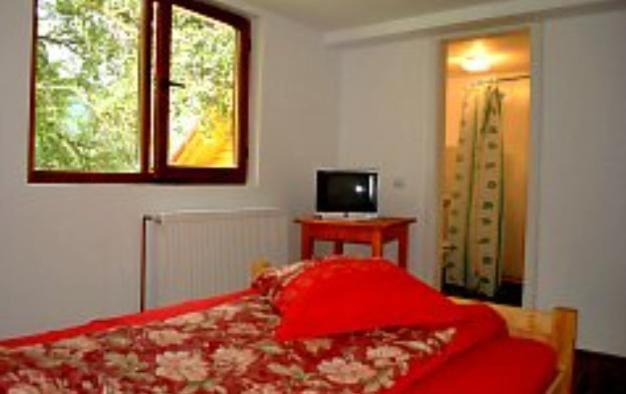 Pensiunea Codru Sălciua de Jos Extérieur photo