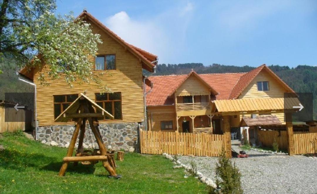 Pensiunea Codru Sălciua de Jos Extérieur photo