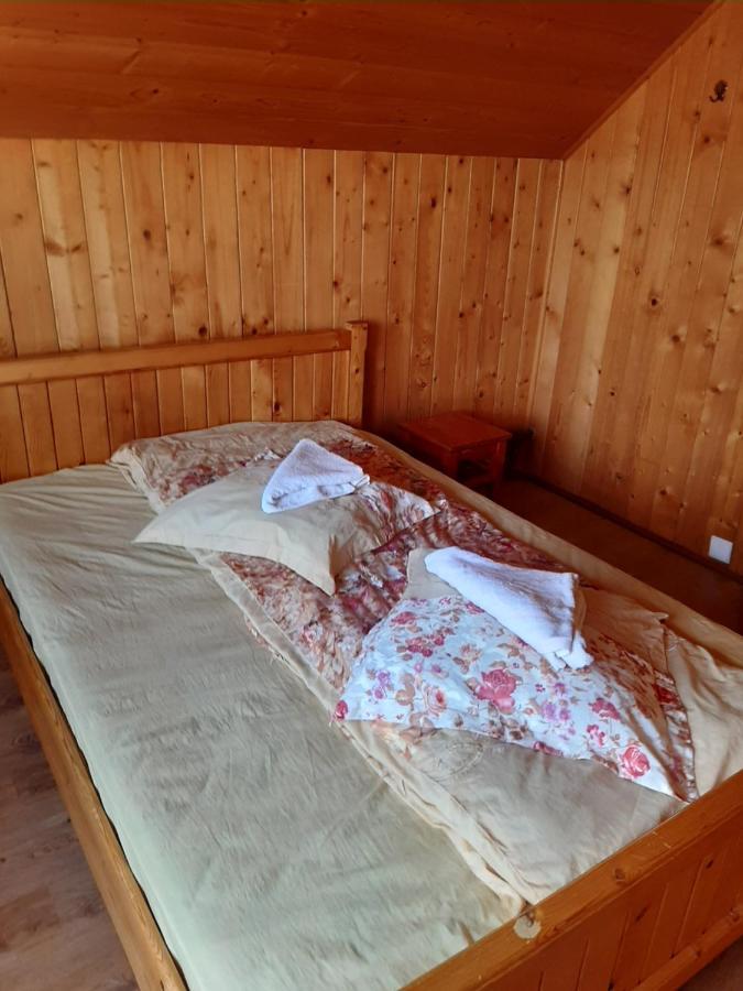 Pensiunea Codru Sălciua de Jos Extérieur photo