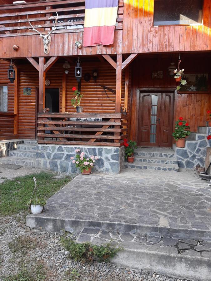 Pensiunea Codru Sălciua de Jos Extérieur photo